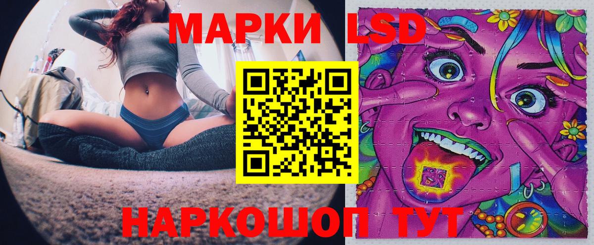 Наркотические марки 1500мкг  Вход с VPN  Шарыпово  Наркотические марки 1500мкг 