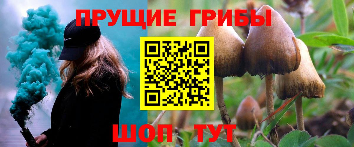 как найти наркотики  Галлюциногенные грибы Psilocybine cubensis  Вход с VPN  Шарыпово 